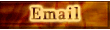 Email Us